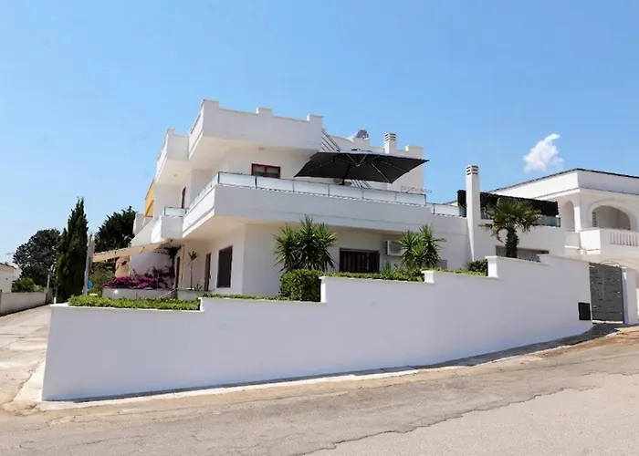 cmv Salento